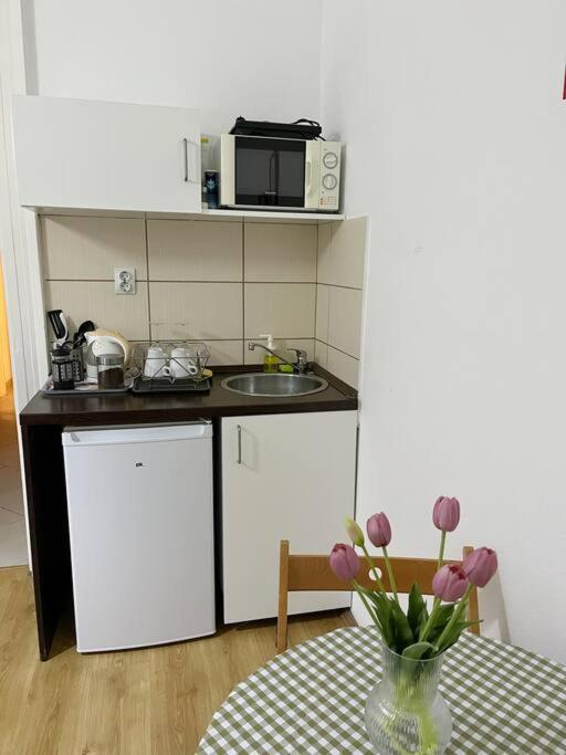 1#Parliament Sunflower Apartments Room Budapest Eksteriør billede