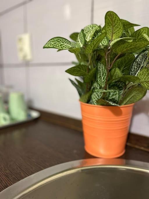1#Parliament Sunflower Apartments Room Budapest Eksteriør billede